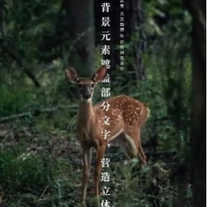 迷上我（完美排版、绝无仅有文字版）.pdf