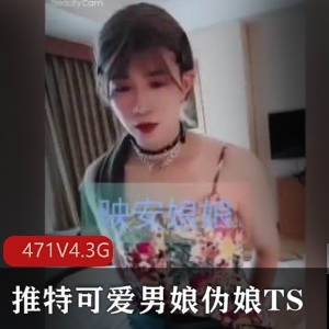 推特男娘TS精品视频合集471V4.3G：可爱伪娘小视频国内独家